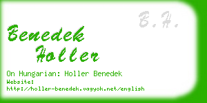 benedek holler business card